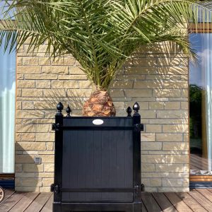 Duża ozdobna donica Chanson CHA078 firmy Symphonie Planters w kolorze czarnym RAL 9005 (Jet black)